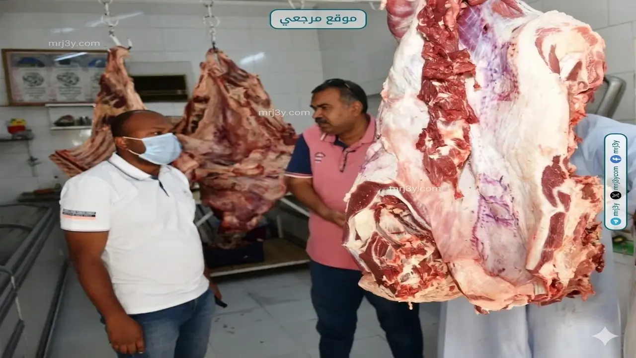 محافظ أسوان يوجه بتكثيف الرقابة على محلات اللحوم لضبط الأسعار في الأسواق